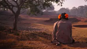 Backdrop to the movie "To Kill a Tiger" #413802