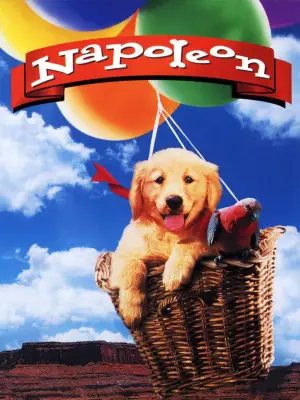 Poster to the movie "Napoleon" #646962