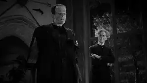 Backdrop to the movie "The Bride of Frankenstein" #897244