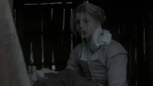 Backdrop to the movie "The Witch" #600225