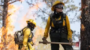 Backdrop to the movie "Those Who Wish Me Dead" #270756