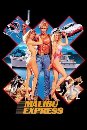 Poster to the movie "Malibu Express" #623059