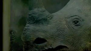 Backdrop to the movie "Little, Big, and Far" #799683