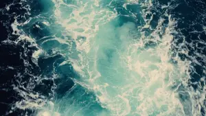 Backdrop to the movie "The Master" #813073