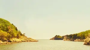 Backdrop to the movie "Moonrise Kingdom" #811348