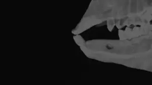 Backdrop to the movie "Ghost Buddies: The Gathering" #542096