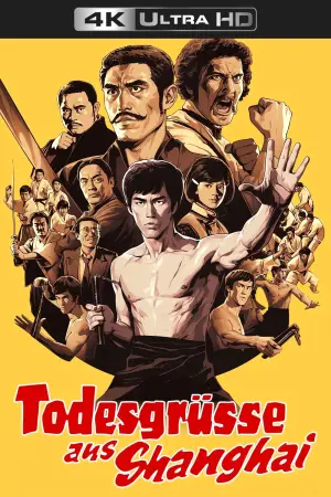 Poster to the movie "Fist of Fury" #835703
