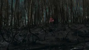 Backdrop to the movie "Justa" #533411