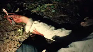 Backdrop to the movie "The Devil All the Time" #713602