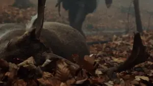 Backdrop to the movie "The Hunt" #650056