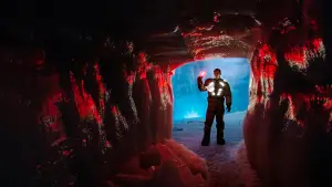 Backdrop to the movie "Eternal" #707342