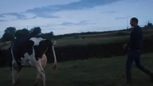 Backdrop to the movie "Un été à la ferme - L