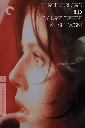 Poster to the movie "Three Colors: Red" #94005