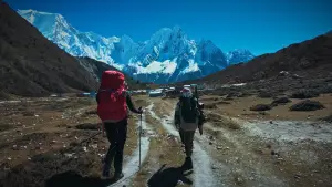 Backdrop to the movie "Back to Tilicho" #781632