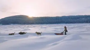 Backdrop to the movie "Kina & Yuk : renards de la banquise" #757762