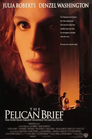 Poster to the movie "The Pelican Brief" #276835