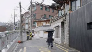 Backdrop to the movie "The Woman Who Ran" #397544