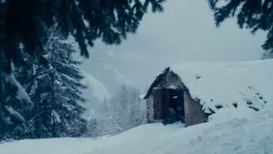 Backdrop to the movie "Vermiglio" #652964