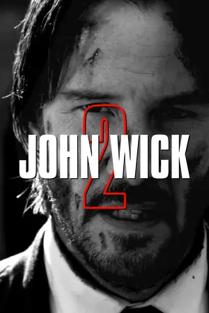 Poster to the movie "John Wick: Chapter 2" #585470