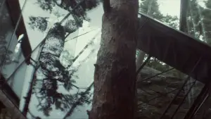 Backdrop to the movie "Ex Machina" #587568