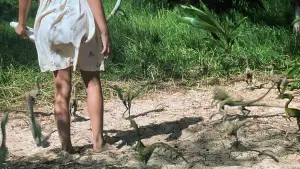 Backdrop to the movie "The Lost World: Jurassic Park" #631615