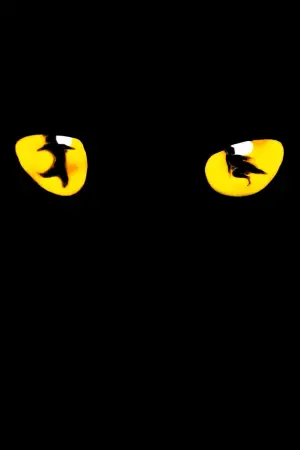 Poster to the movie "Cats" #392210
