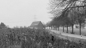 Backdrop to the movie "sie schaute in die ferne" #780941