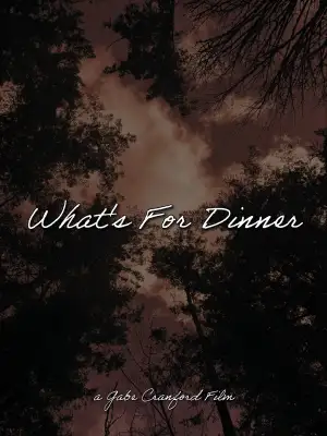 Poster to the movie "What