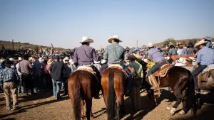 Backdrop to the movie "Jaripeo" #540316