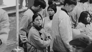 Backdrop to the movie "Local Sensations" #782246