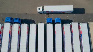 Backdrop to the movie "Fallen from the Truck" #504792