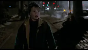 Backdrop to the movie "Home Alone 2: Lost in New York" #567416