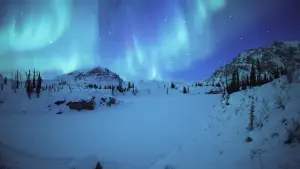 Backdrop to the movie "Kina & Yuk : renards de la banquise" #757769