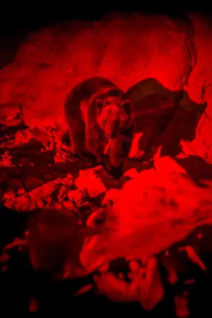 Poster to the movie "Savage Hunt" #609209