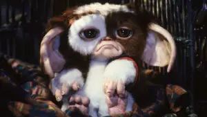 Backdrop to the movie "Gremlins 2: The New Batch" #692538