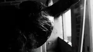 Backdrop to the movie "Salvation" #627926