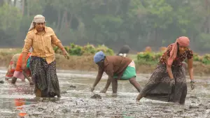 Backdrop to the movie "Bison Kaalamaadan" #786348