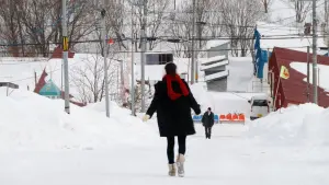 Backdrop to the movie "My Man" #485358