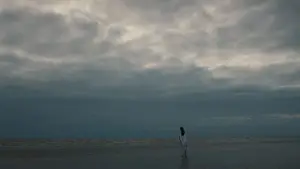 Backdrop to the movie "Shall We Dance?" #619545