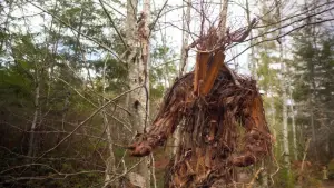 Backdrop to the movie "The Stickman