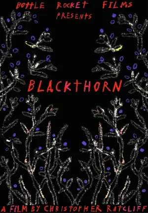 Poster to the movie "Blackthorn" #435446