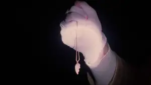 Backdrop to the movie "Twin Peaks: Fire Walk with Me" #643200