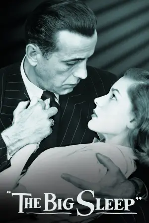 Poster to the movie "The Big Sleep" #710532