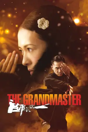 Poster to the movie "The Grandmaster" #531982