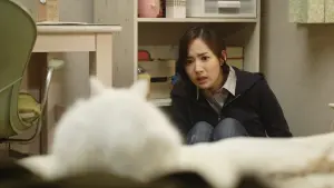 Backdrop to the movie "The Cat" #446333