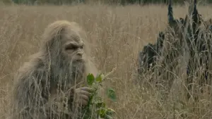 Backdrop to the movie "Sasquatch Sunset" #745846