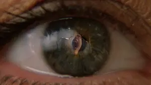 Backdrop to the movie "Spider-Man 2" #633119