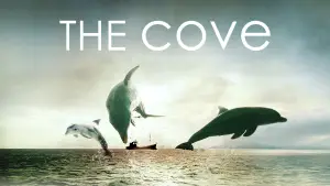 The Cove