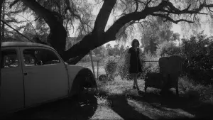 Backdrop to the movie "Fremont" #375169