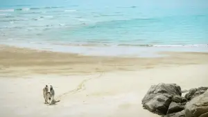 Backdrop to the movie "Isle of Snakes" #646999